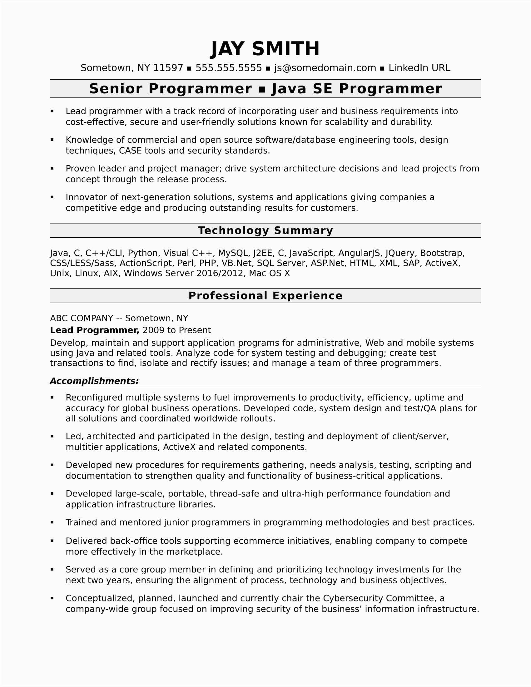 Resume for Computer Job Sample format Programmer Resume Template