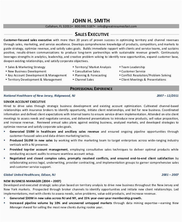 Resume Samples for Account Executive In Sales 30 Sales Resume Templates Pdf Doc