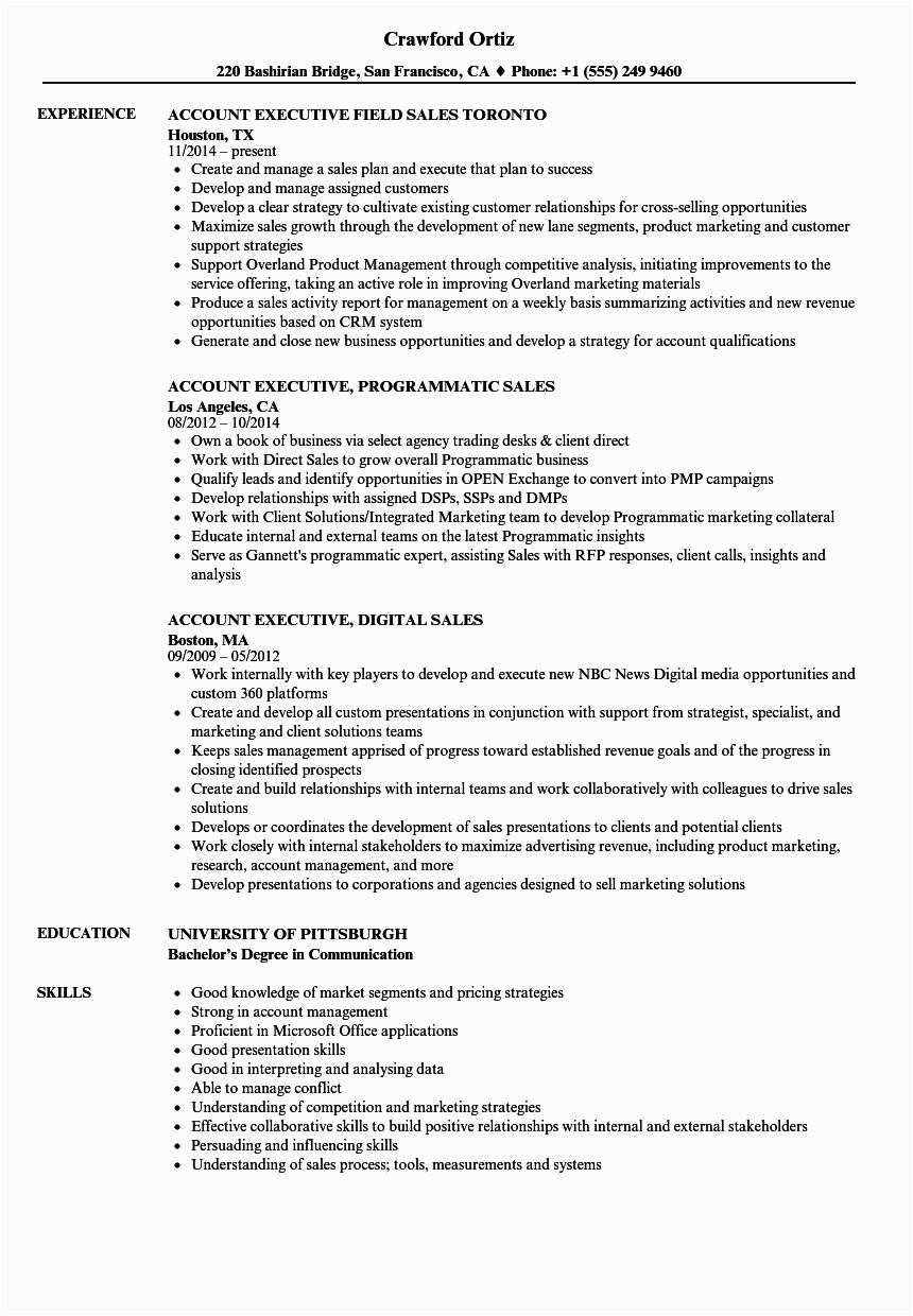 Resume Samples for Account Executive In Sales Sales Executive Account Executive Resume Samples