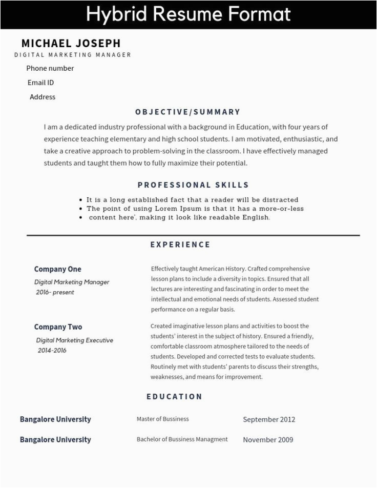Sample Resume for All Types Of Jobs Hybrid Resume format