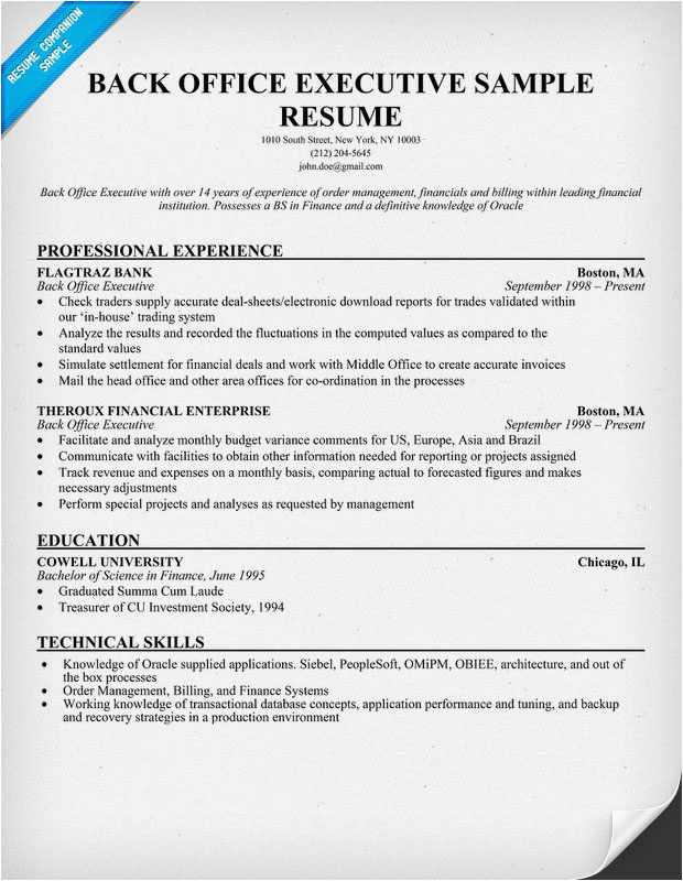 Sample Resume for Bank Back Office Executive Back Fice Executive Resume Sample Resume Panion