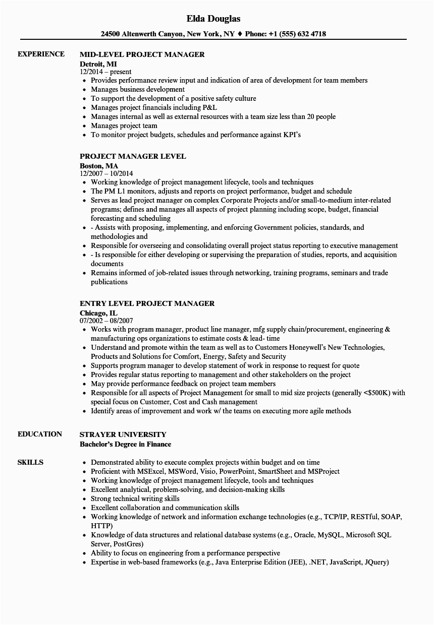 Sample Resume for Midl Level Manager Project Manager Level Resume Samples