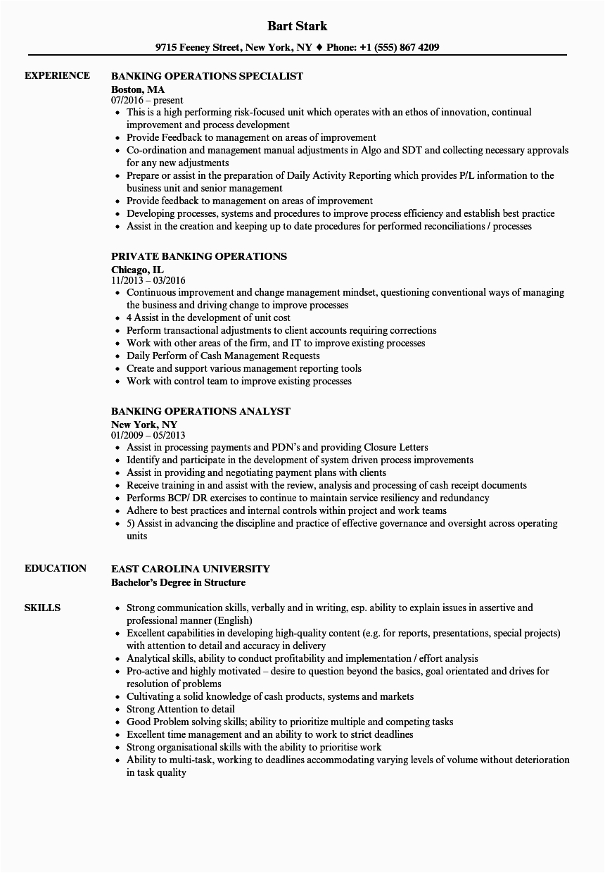 Sample Resume for Operations Manager In Banking Banking Operations Resume Samples