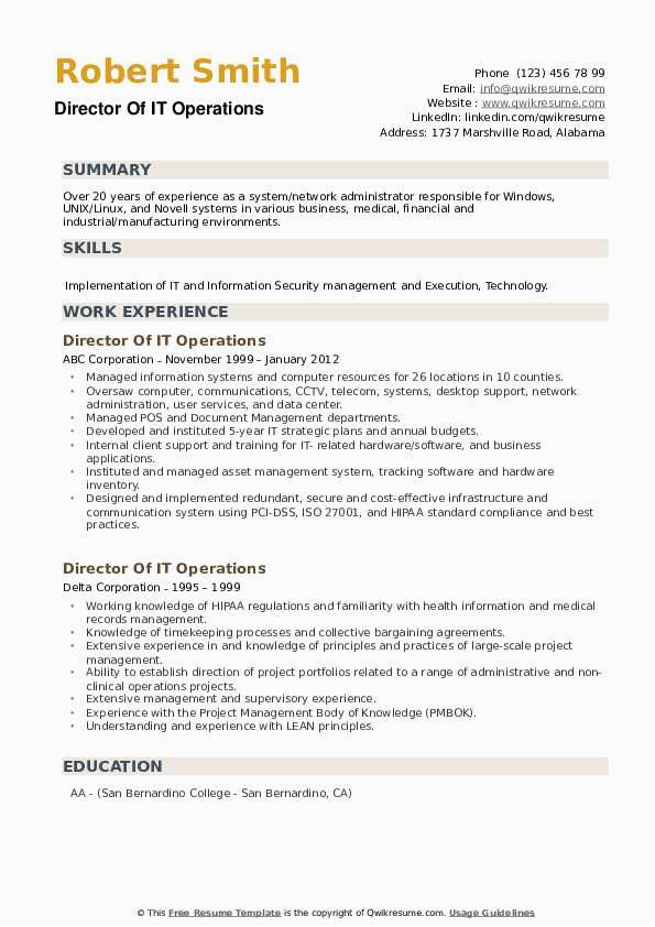 Sample Resumes for It Director Position Director It Operations Resume Samples