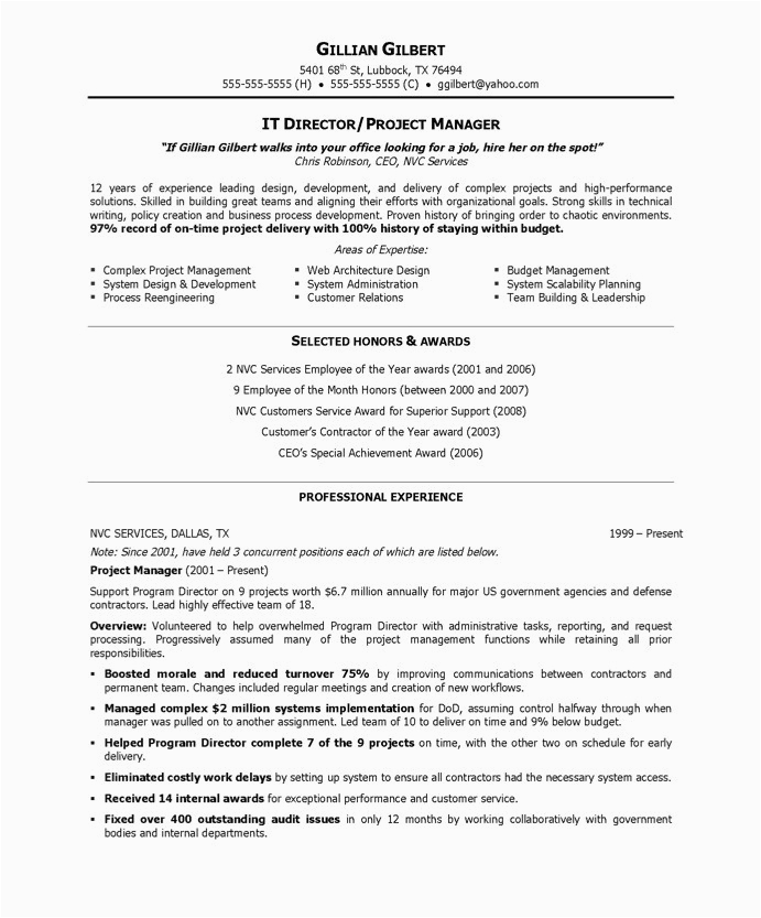 Sample Resumes for It Director Position It Director Free Resume Samples