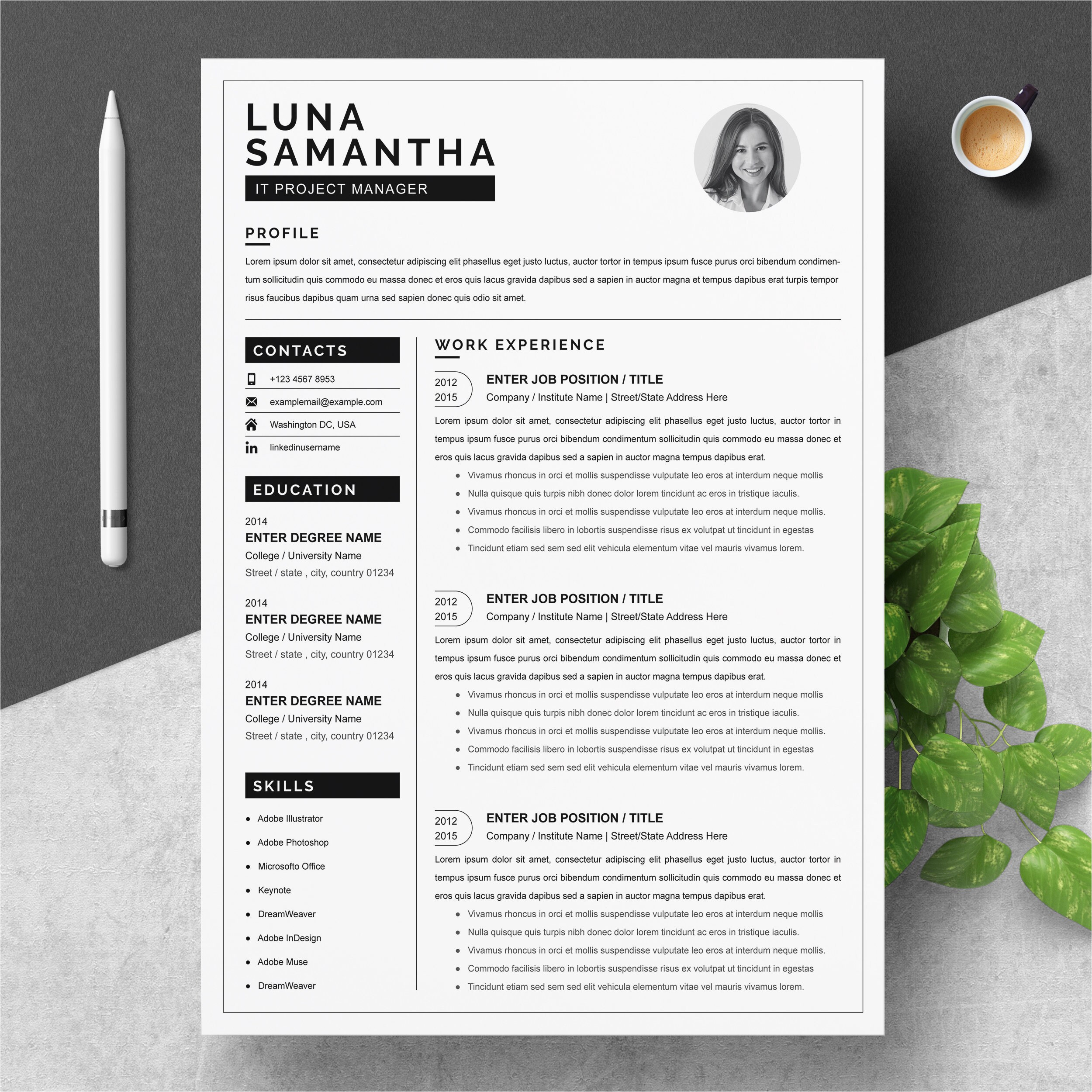Visual Resume Sample for Project Manager Project Manager Resume Template for Word Professional