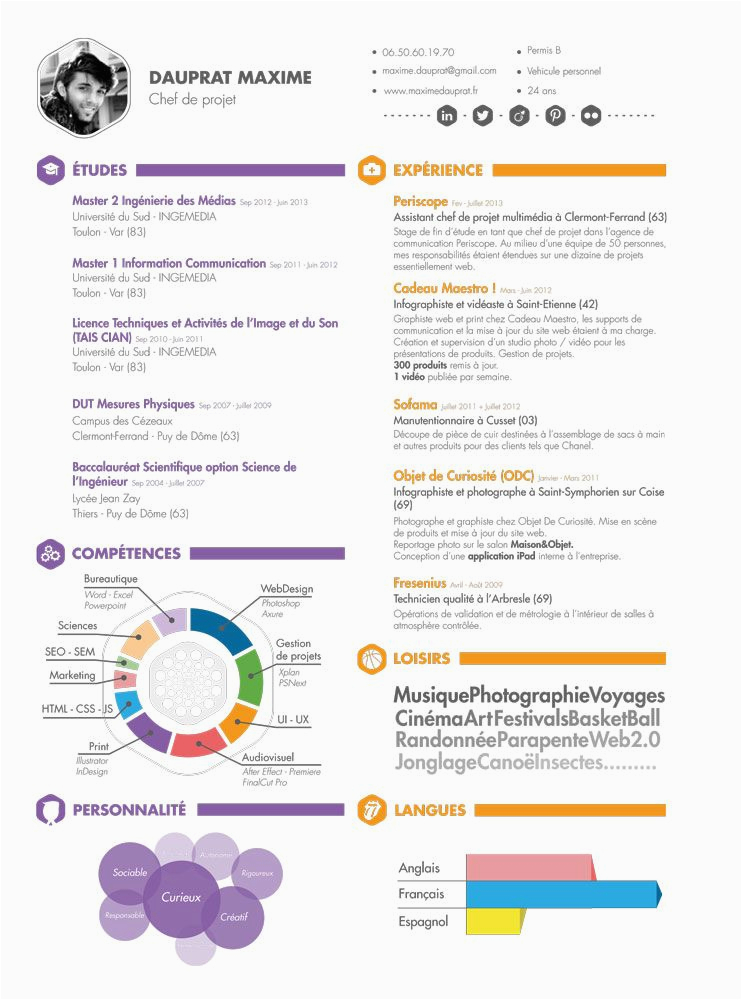 Visual Resume Sample for Project Manager Web Project Manager Resume