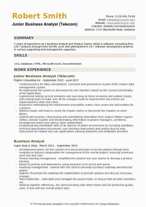 Junior It Business Analyst Sample Resume Jr Business Analyst Resume Samples