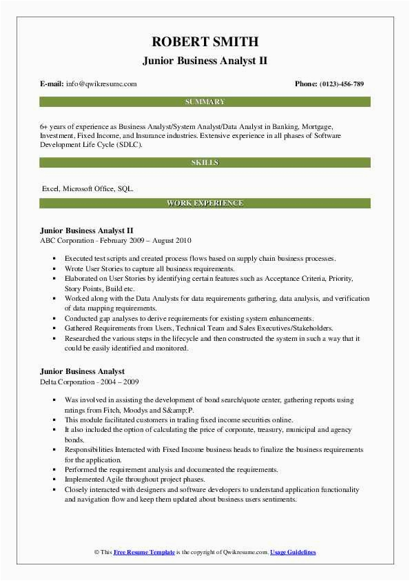 Junior It Business Analyst Sample Resume Junior Business Analyst Resume Samples