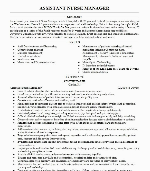 Sample Resume for assistant Nurse Manager assistant Nurse Manager Resume Example Palomar Medical