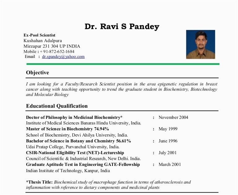 Sample Resume for Principal In India Sample Resume for College Principal In India Sample Web H