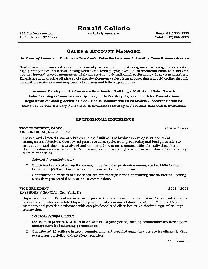 Sample Resume Objective for Sales Position Sales Executive Resume Objective