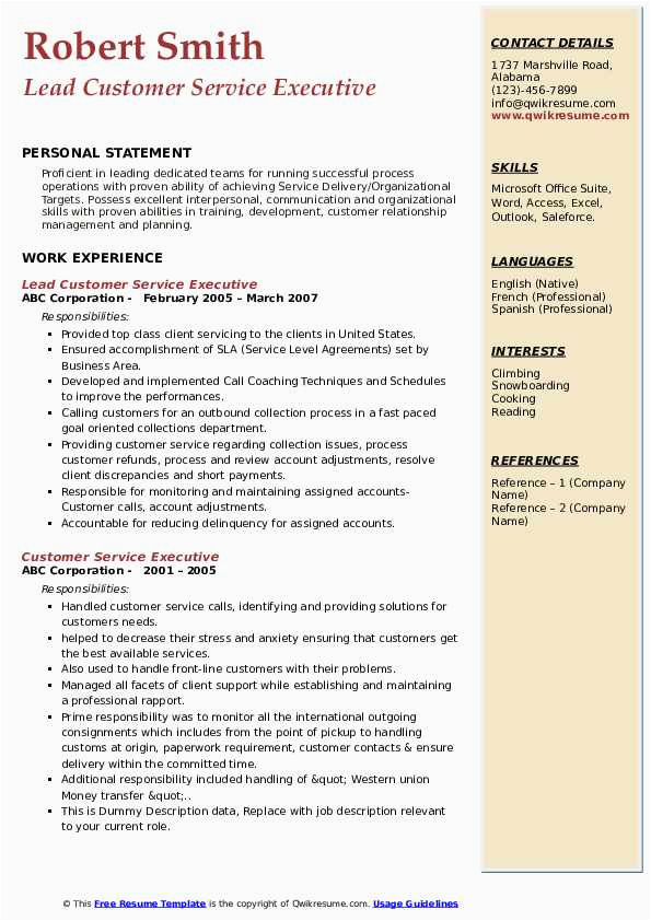 Sample Resume Of Customer Care Executive Customer Service Executive Resume Samples