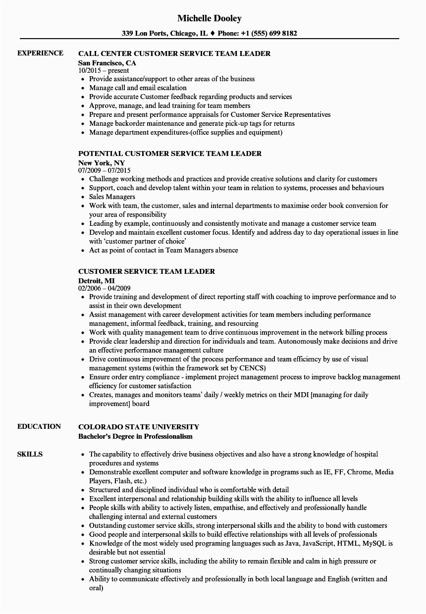 Sample Resume Of Customer Service Team Leader Customer Service Team Leader Job Description for Resume Job Retro