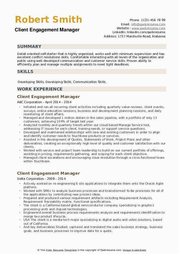 Sample Resume Relationship Management Skills Definition Client Engagement Manager Resume Samples