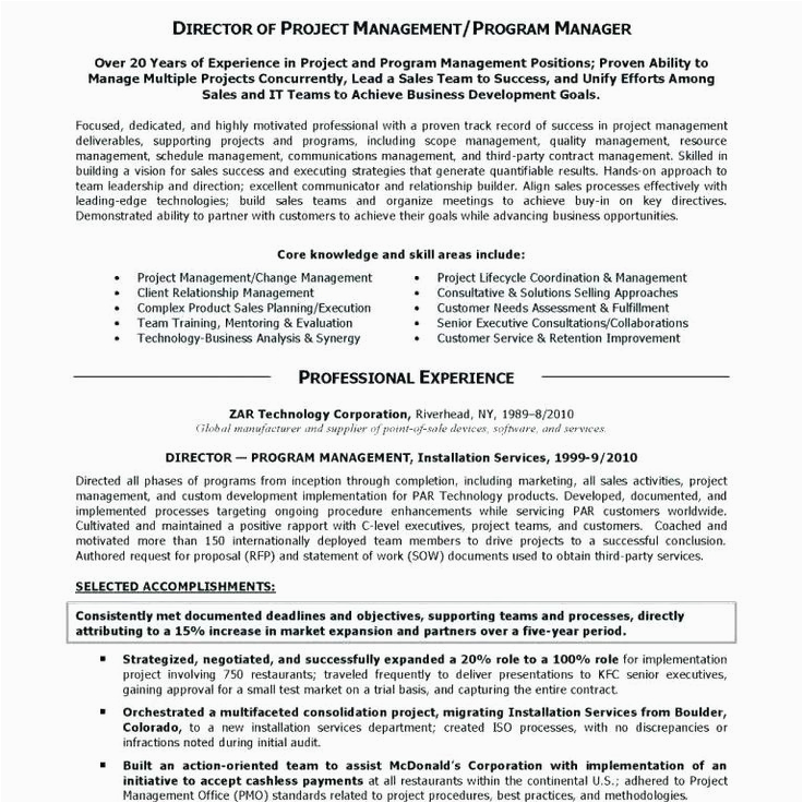 Samples Of Executive Summary for Resume Executive Summary for Resume