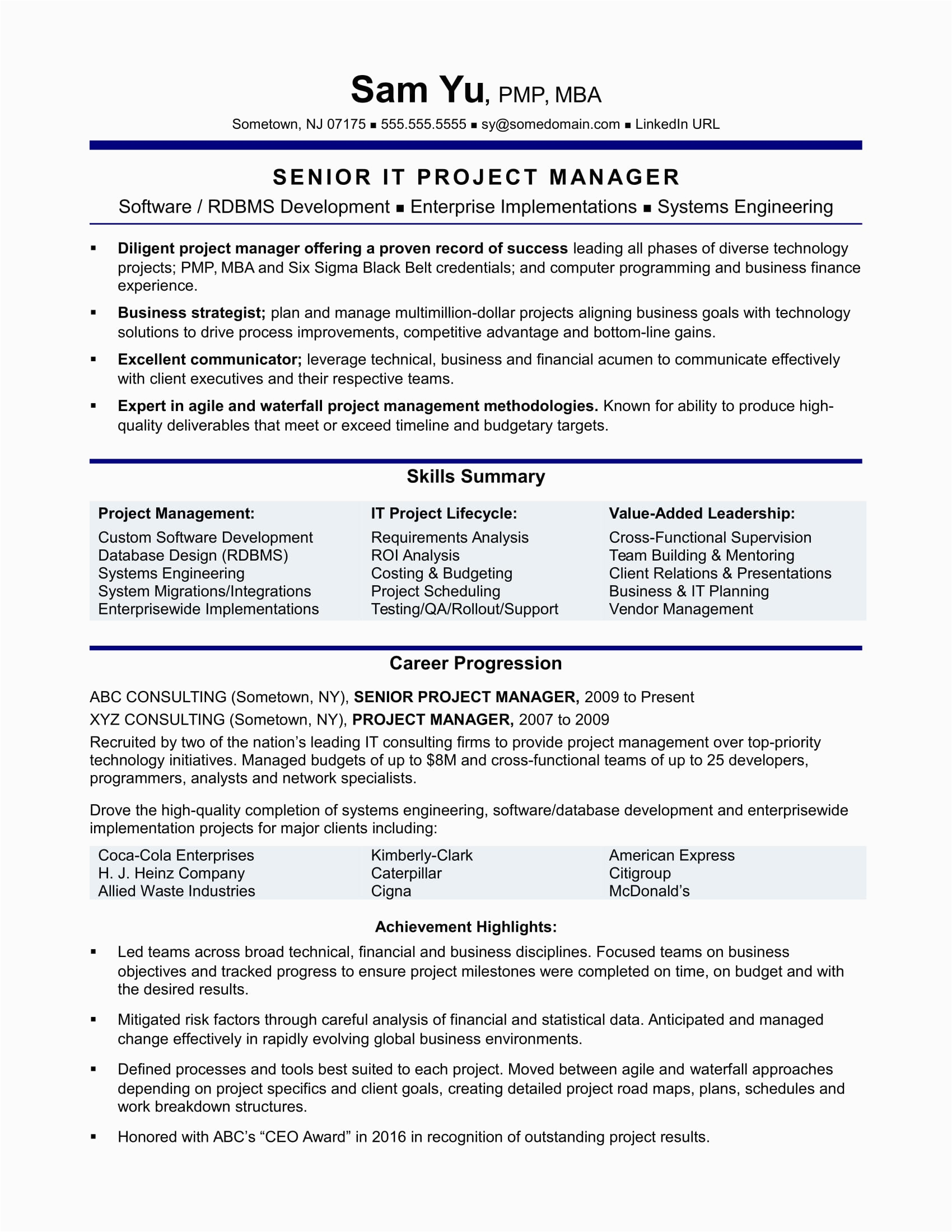 Software Industry Project Manager Sample Resume It Project Manager Resume