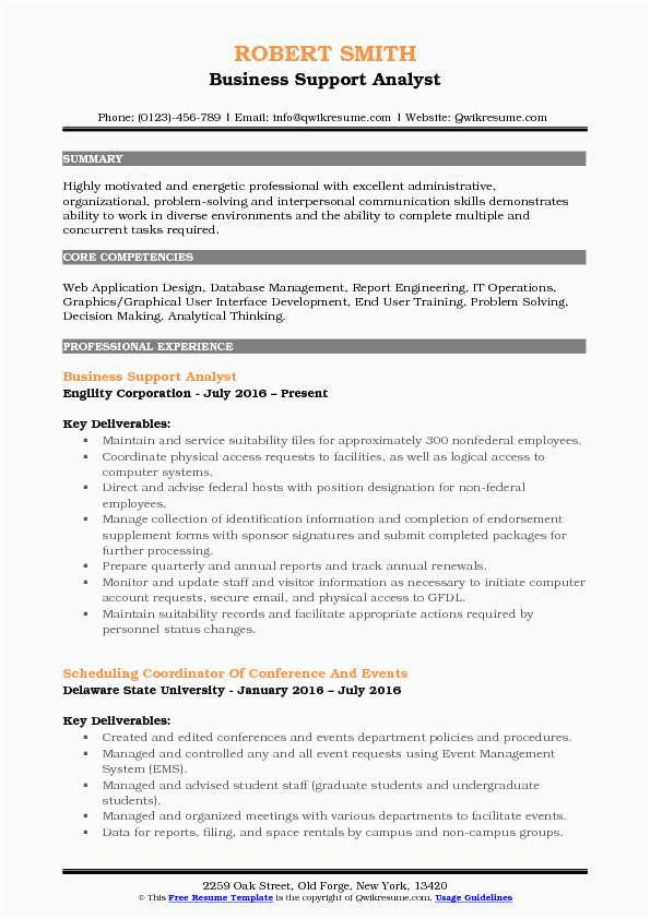 Business Analyst Access Management Sample Resume Business Support Analyst Resume Samples