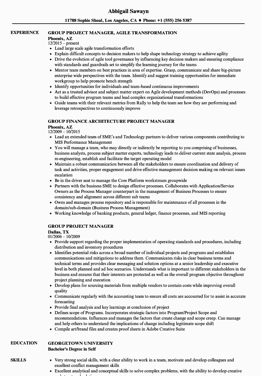 Sample Group Project Info In Resume Group Project Manager Resume Samples