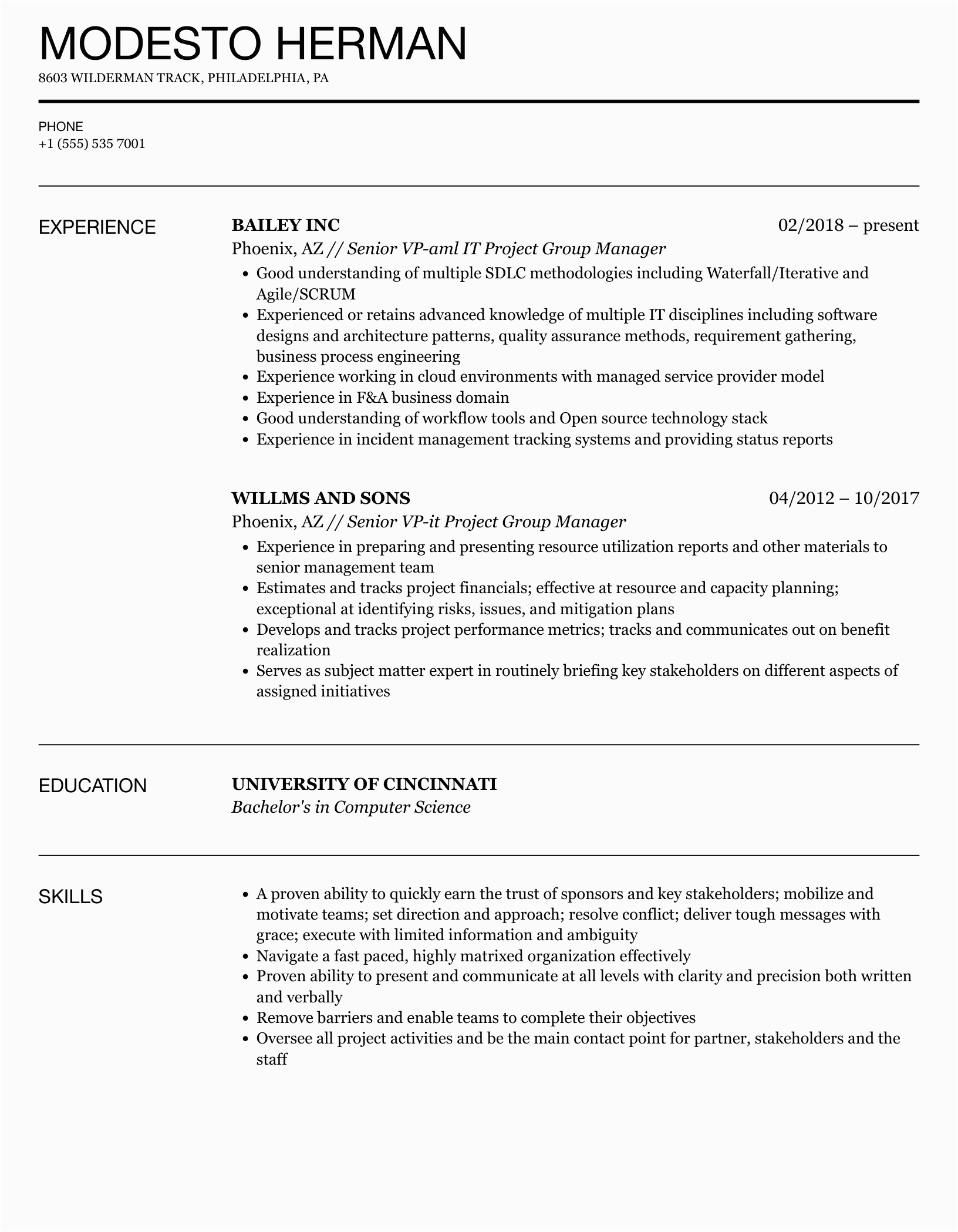 Sample Group Project Info In Resume It Project Group Manager Resume Samples