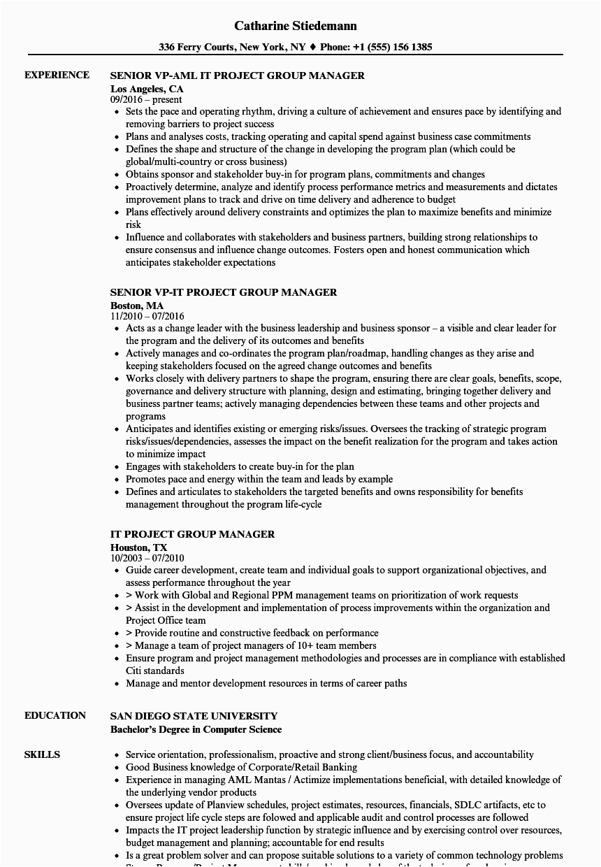 Sample Group Project Info In Resume It Project Group Manager Resume Samples