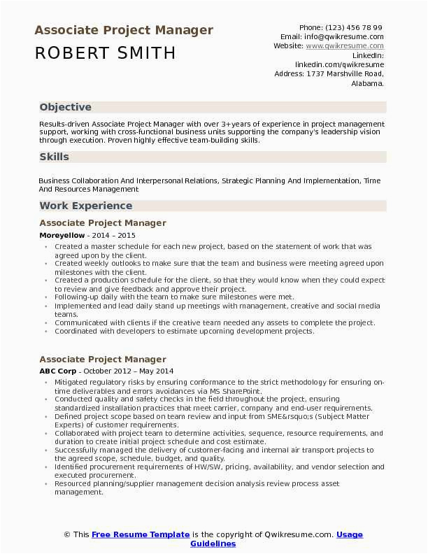 Sample Resume Objective Statements for Project Manager Project Manager Resume Objective Resume Template Database