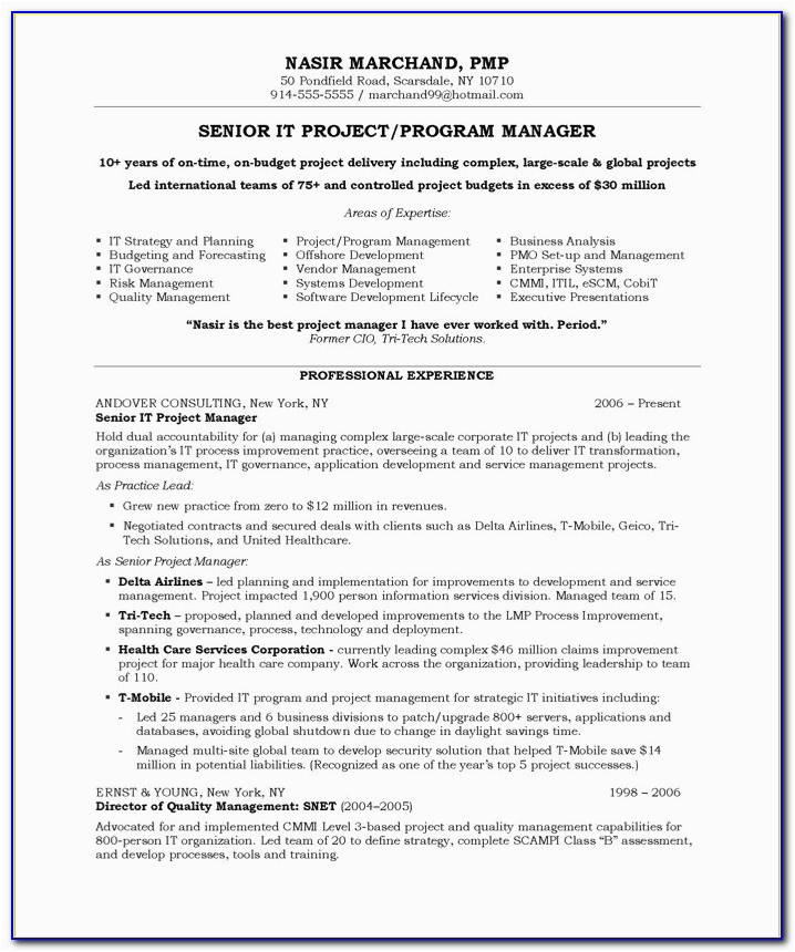 Sample Resume Objective Statements for Project Manager Sample Objective Statement for Project Manager