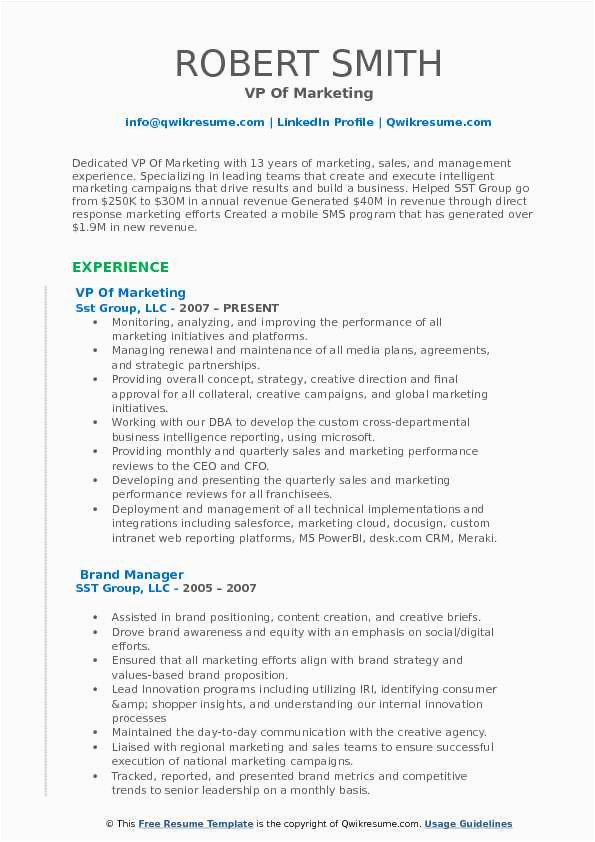 Vp Sales and Marketing Resume Sample Vp Of Marketing Resume Samples