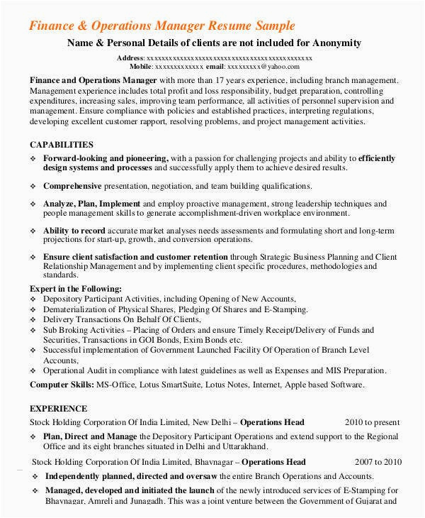 Financial Industry Project Manager Resume Sample 23 Finance Resume Templates Pdf Doc