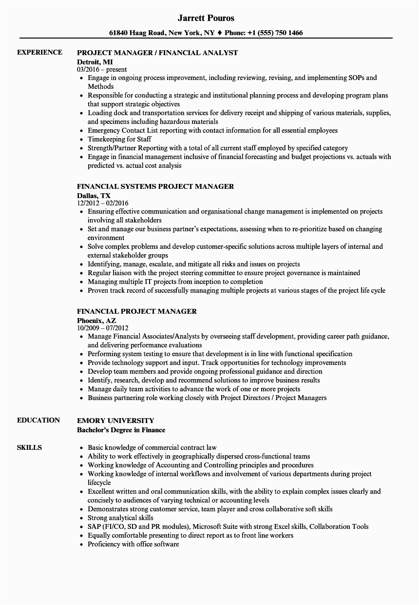 Financial Industry Project Manager Resume Sample Financial Project Manager Resume Samples