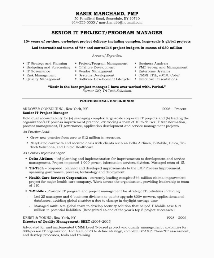 Sample Of Great Project Manager Resume Confusedsky Great Project Manager Resume