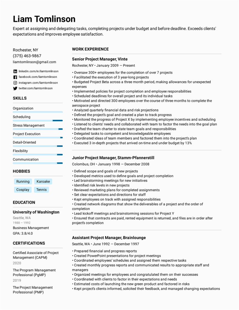 Sample Of Great Project Manager Resume Project Management Resume Bullets Creative Project Manager Resume