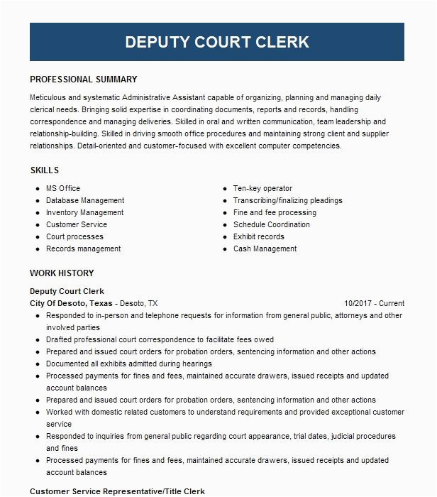 Sample Resume for Judicial Clerkship Nj Deputy Court Administrator Resume Example Irvington Municipal Court
