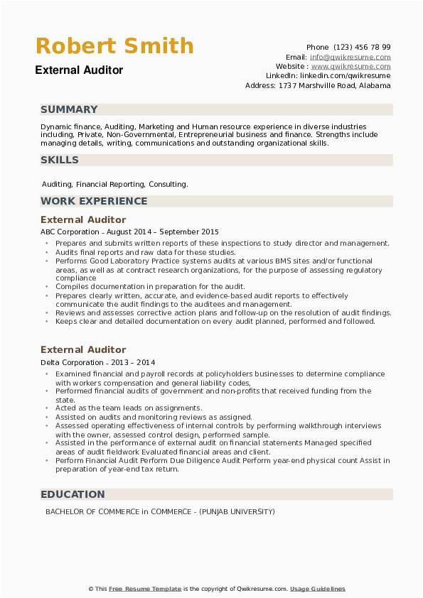 Sample Resume Of External Audit Manager External Auditor Resume Samples