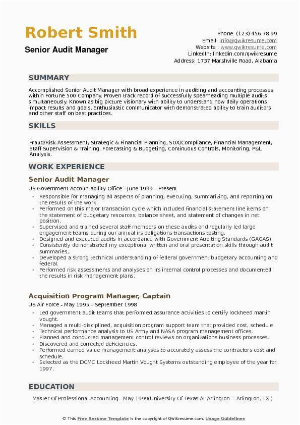 Sample Resume Of External Audit Manager Professional Cv for Auditor Audit Consultant Resume Sample Mintresume