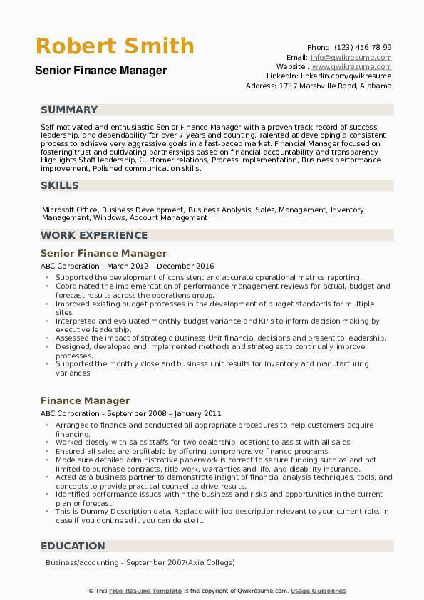 Sample Resume Of Finance Manager In India Finance Manager Resume India 1